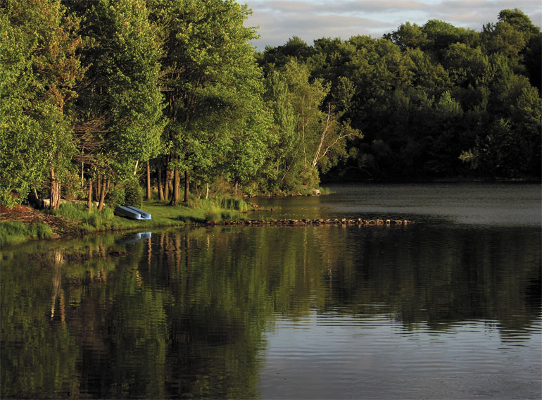 photo "Evening" tags: nature, landscape, summer