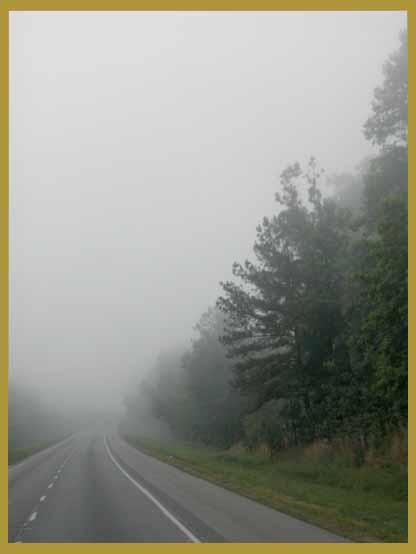 photo "Fog" tags: travel, landscape, North America