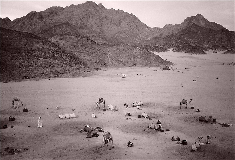 фото "Вечер в Аравийской пустыне" метки: путешествия, черно-белые, Африка