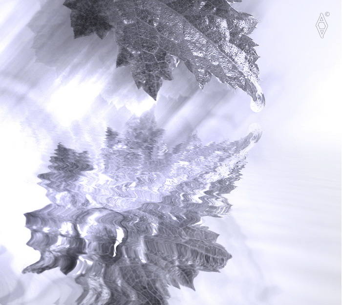 photo "waterdrops" tags: montage, abstract, 