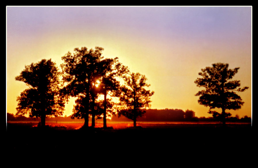 photo "oakery-1" tags: misc., 