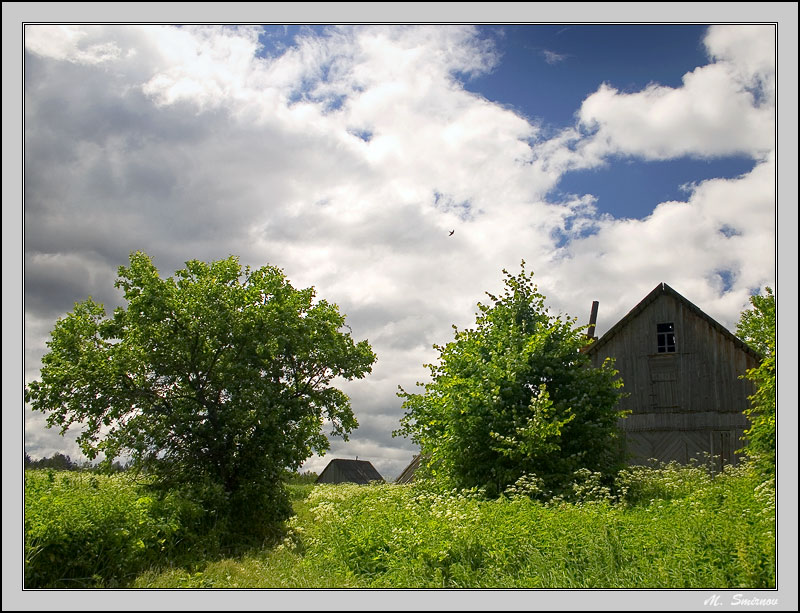 photo "After a years rain." tags: landscape, summer