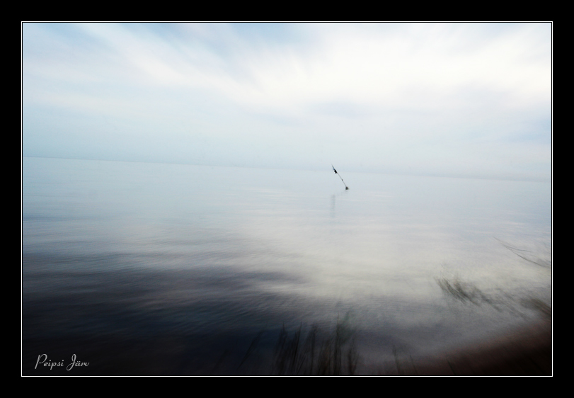 photo "Lake Peipsi" tags: landscape, nature, water