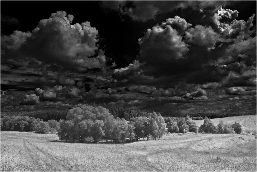 photo "Midnight" tags: landscape, night