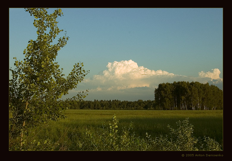 photo "The Field" tags: landscape, clouds