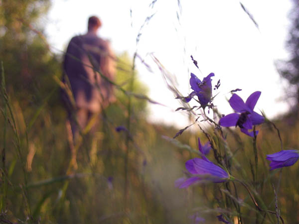 photo "***" tags: landscape, macro and close-up, summer