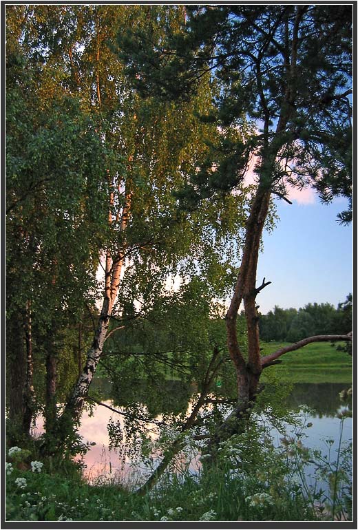 photo "Summer evening" tags: landscape, forest, water