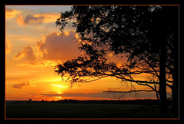 photo "Instant of fading day" tags: landscape, summer, sunset