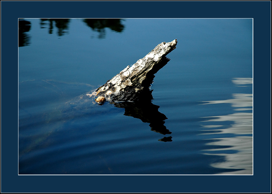 фото "+++" метки: абстракция, природа, 