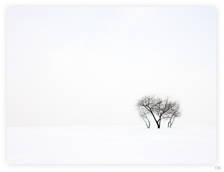 photo "Black and White" tags: landscape, winter