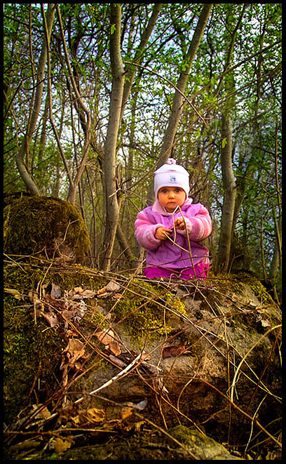 фото "in the forest" метки: разное, 