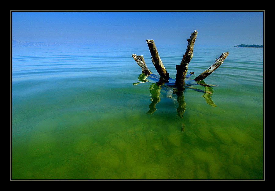 фото "DAY OF THE NEPTUNE" метки: разное, пейзаж, лето