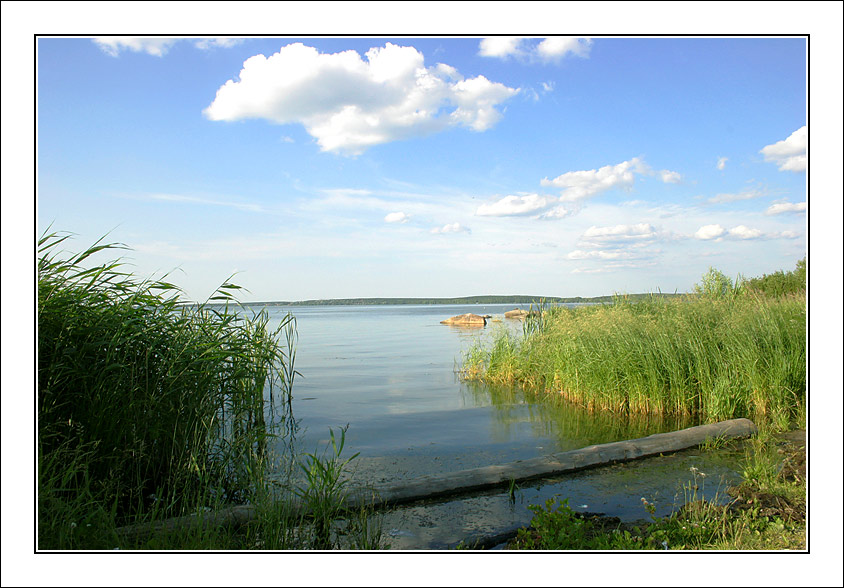 фото "На берегу озера #2" метки: пейзаж, вода, лето