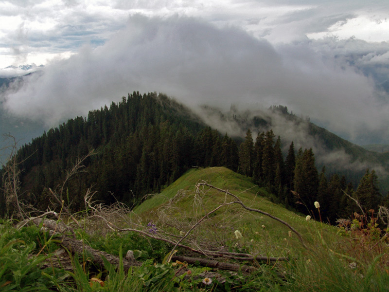 photo "over the clouds" tags: landscape, clouds, mountains