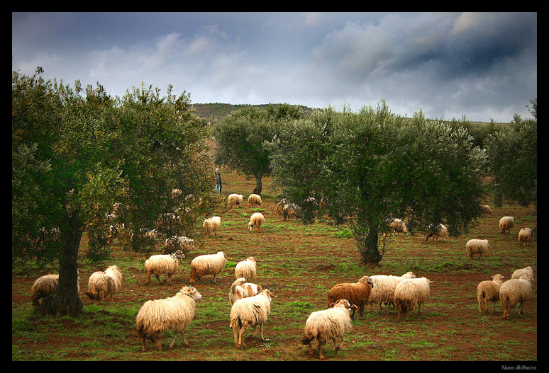 фото "Bucolic mood" метки: пейзаж, горы