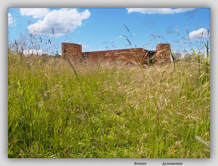 photo "Breeze" tags: landscape, summer