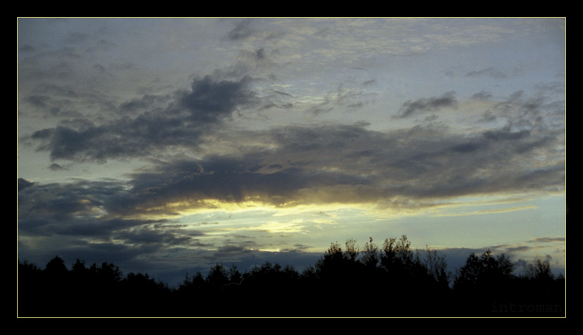 photo "The rising" tags: landscape, forest, sunset