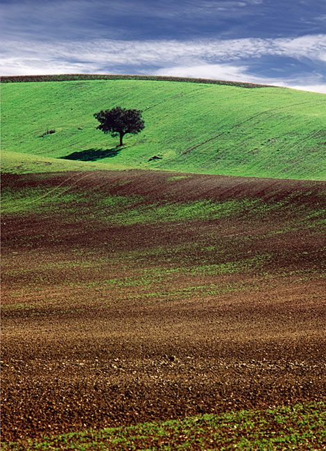 photo "Alone" tags: landscape, mountains, spring