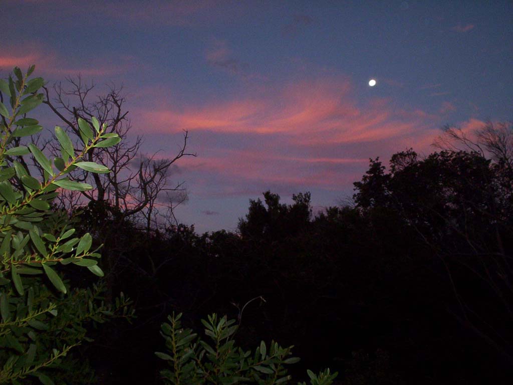 photo "Perpendicular moonrise" tags: landscape, sunset