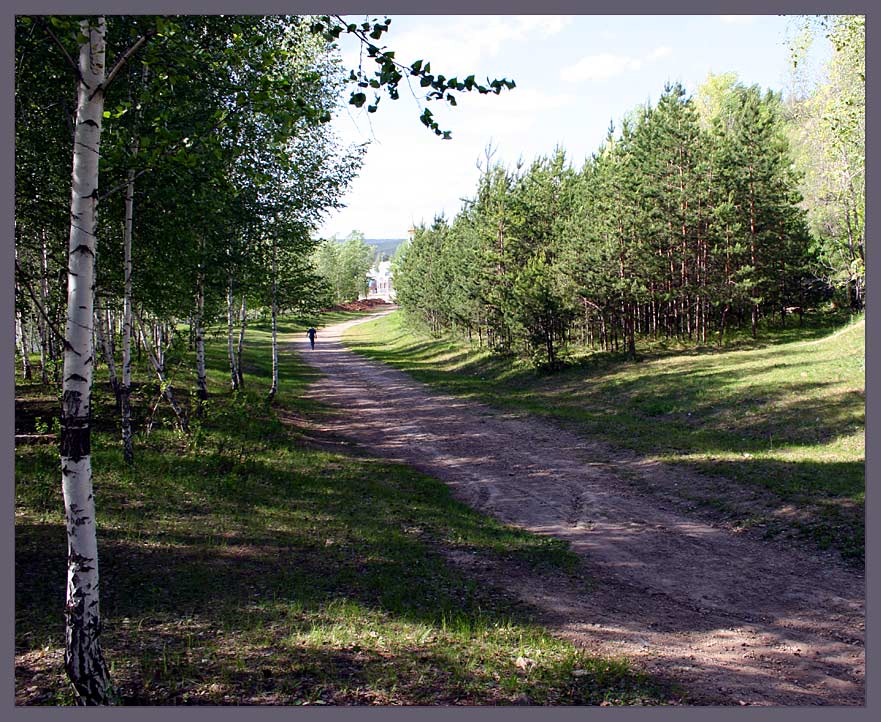 фото "Дорогой к храму" метки: пейзаж, лес