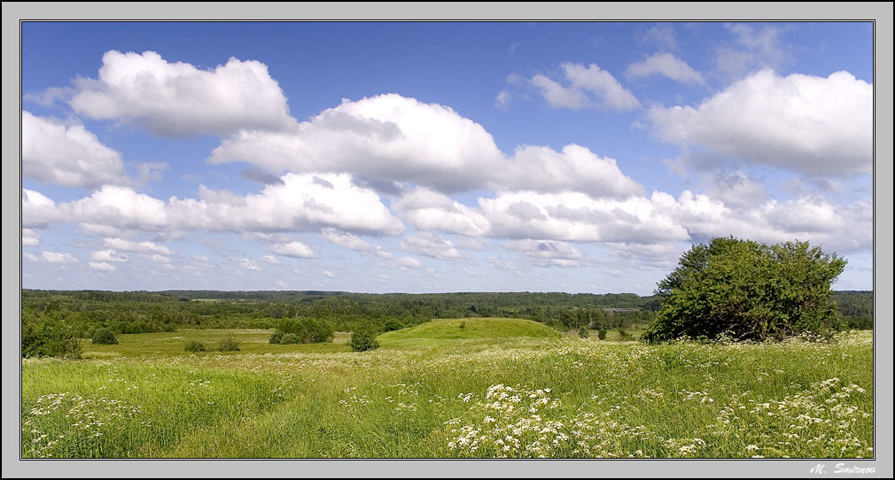 photo "***" tags: landscape, forest, summer