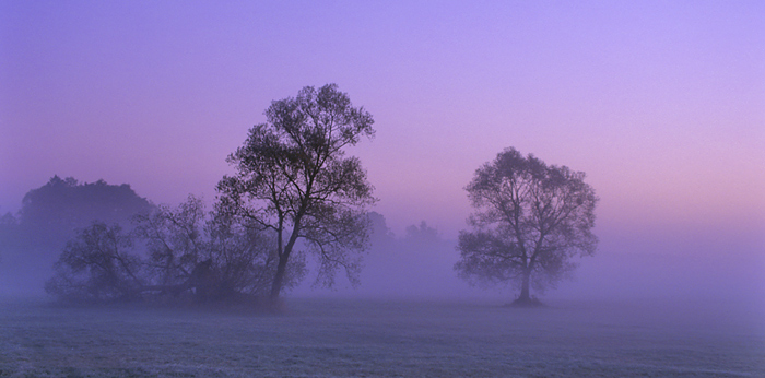 photo "Endless Dreamy World" tags: landscape, sunset