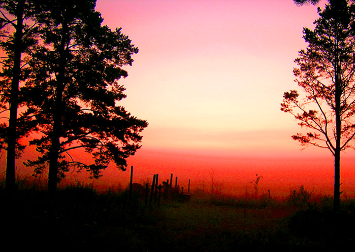 photo "***" tags: landscape, summer, sunset