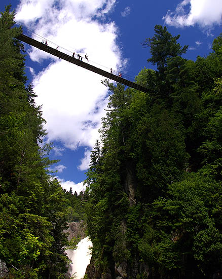 photo "Highly Suspended" tags: landscape, travel, North America, forest