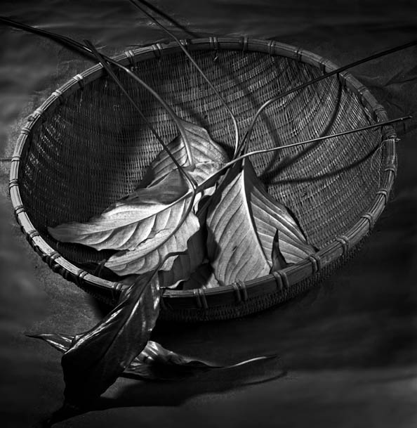 photo "Leaves in a basket" tags: still life, 