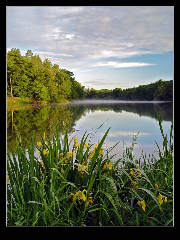 photo "Good Morning" tags: landscape, spring