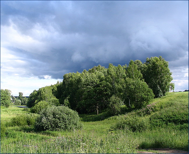 photo "It seems a rain gathers" tags: landscape, clouds, forest