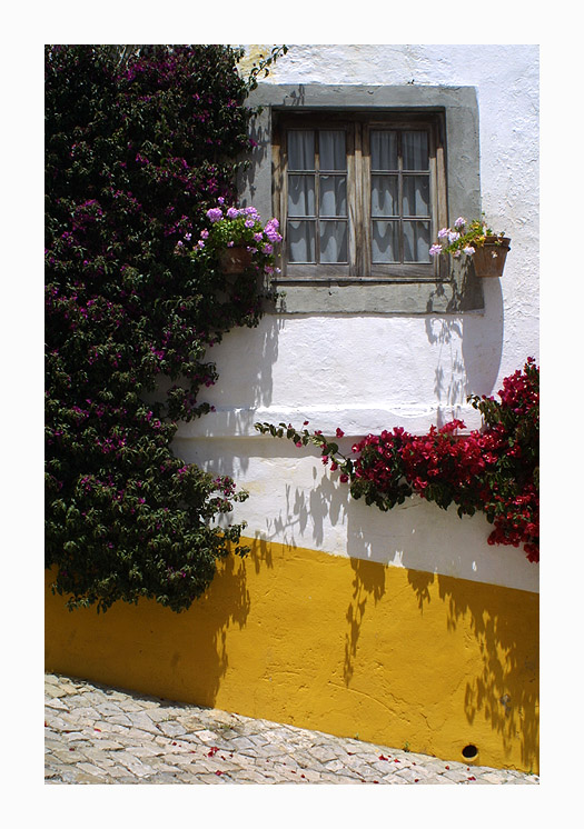 photo "window & flowers" tags: architecture, landscape, 