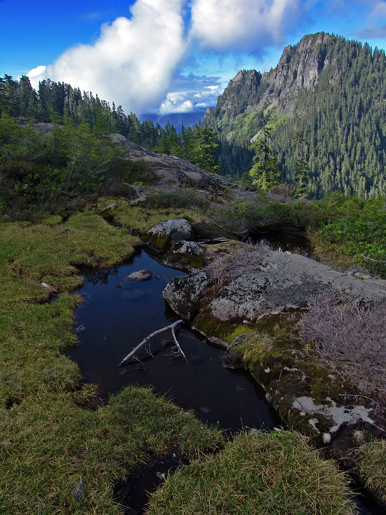 фото "Northwest Landscape" метки: пейзаж, горы, лето