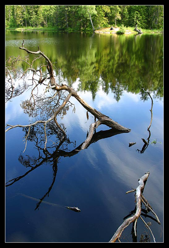 фото "На Игуменском озере. о.Валаам" метки: пейзаж, путешествия, лес