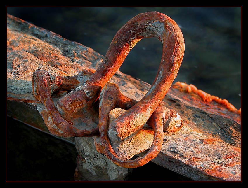 photo "Corrosion" tags: macro and close-up, misc., 