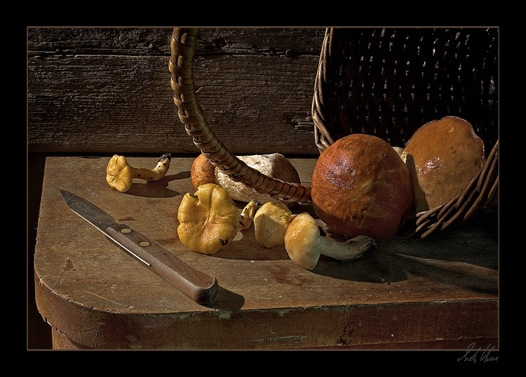 photo "Etude with mushrooms" tags: still life, nature, flowers