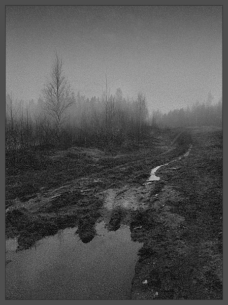 photo "rainy morning" tags: black&white, landscape, spring