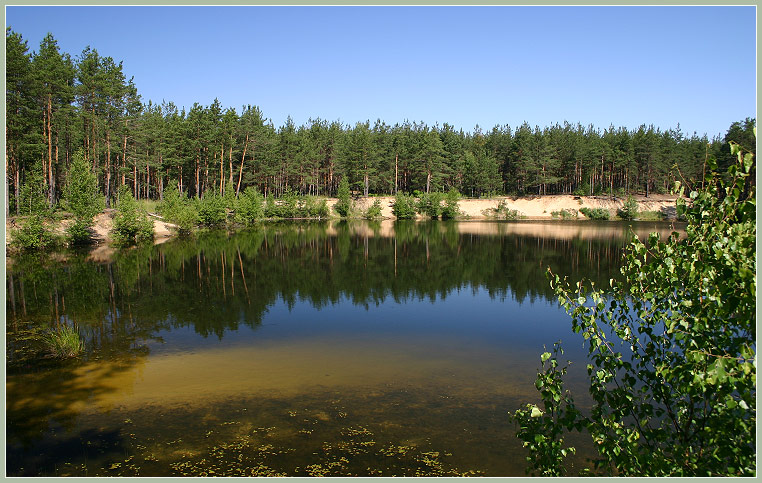 фото "Заповеднами тропами" метки: разное, 