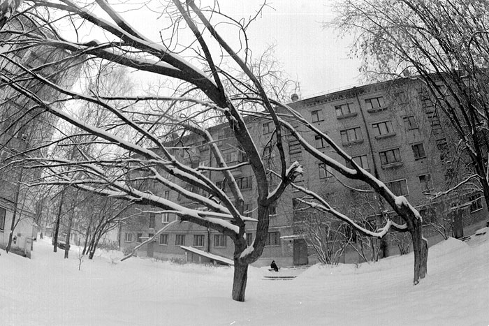 фото "зима" метки: черно-белые, жанр, 