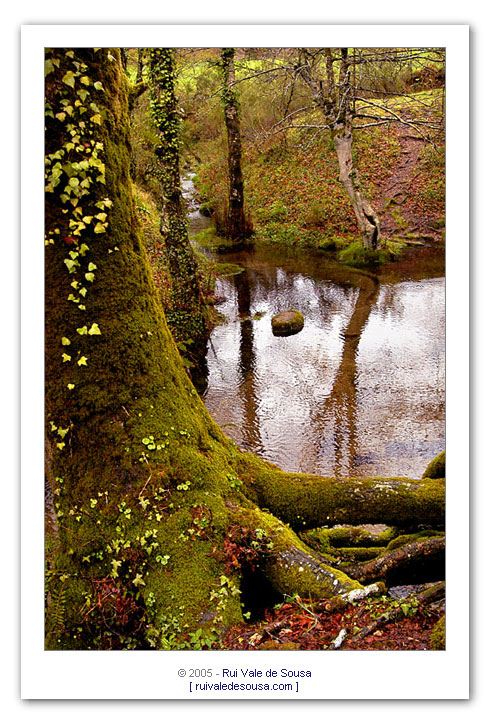 фото "wild" метки: разное, 