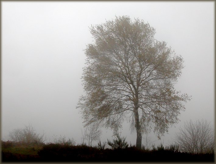 photo "Fogs and mists - 01" tags: misc., 