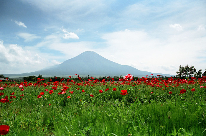 photo "Summertime" tags: landscape, mountains, summer