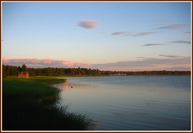 photo "Colour of the white night" tags: landscape, night, summer