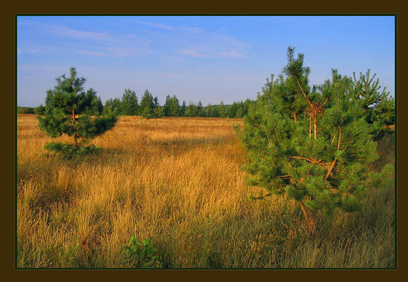 фото "Вдвоем..." метки: пейзаж, лето