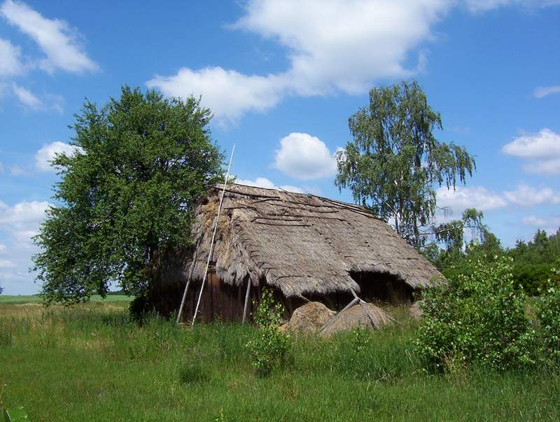 photo "Barn in the summer" tags: landscape, 