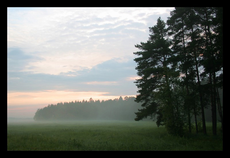 photo "Untitled photo" tags: landscape, forest, sunset