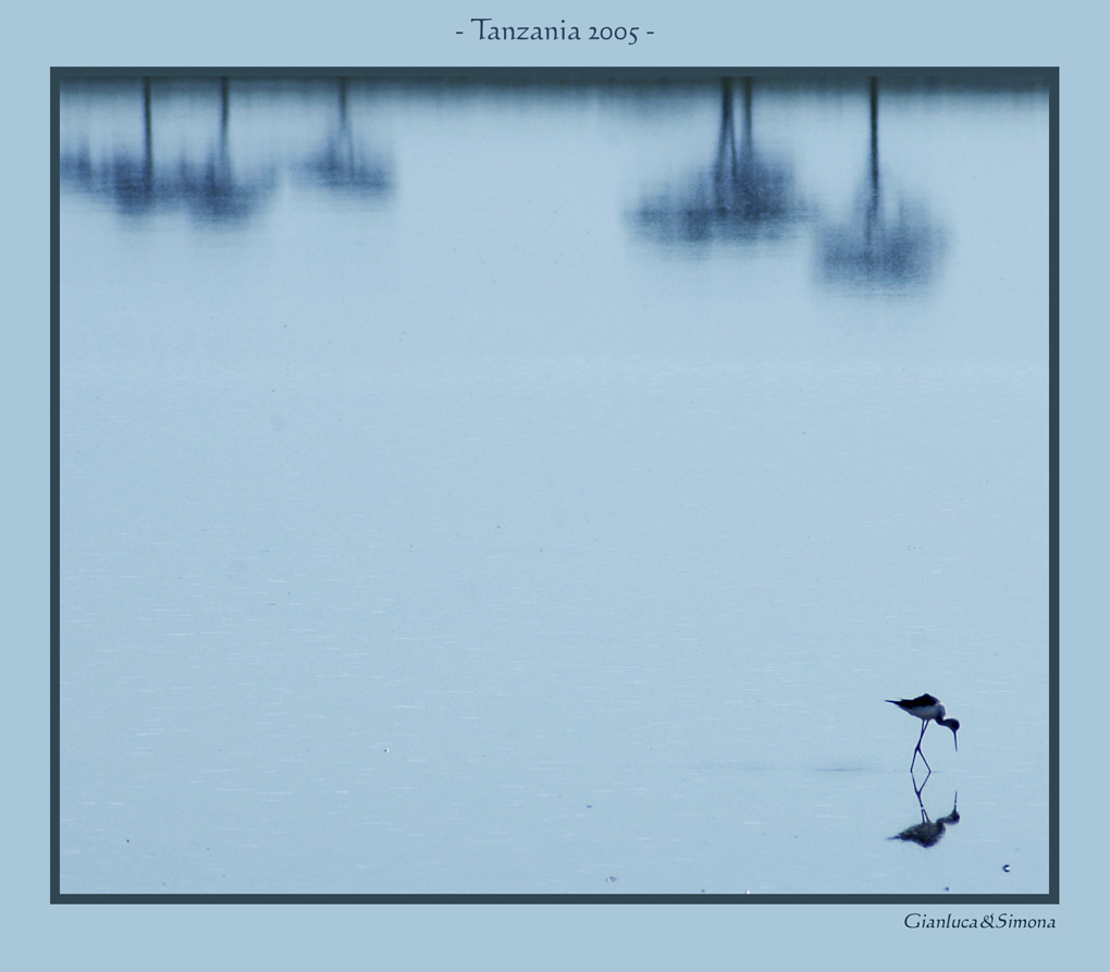 фото "Serengeti lake" метки: путешествия, пейзаж, Африка, вода