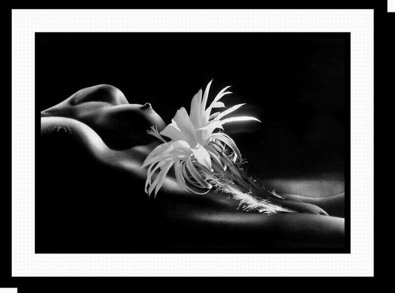 photo "Where flowers grow..." tags: black&white, nude, 