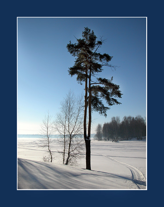 photo "Frosty morning" tags: landscape, nature, winter