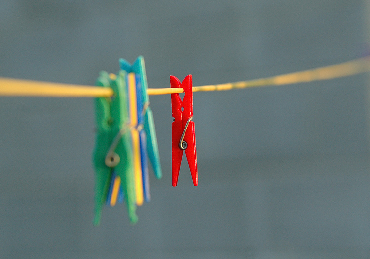 photo "><" tags: macro and close-up, still life, 